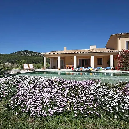 Elegant And Modern Designed With Comfort And Style, Special Prices Car Hire For The Guests *